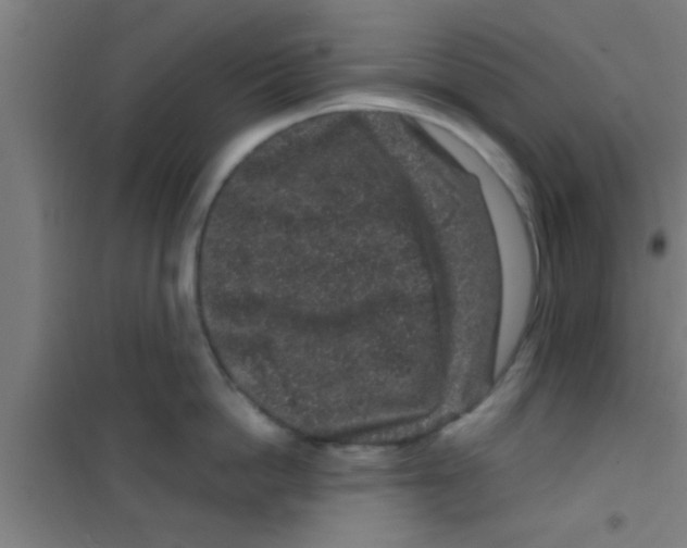 X0000100390862200807031948