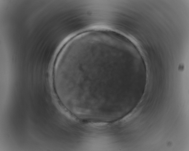 X0000100390864200807031948