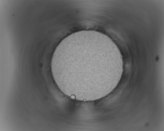 X0000100390865200807031947