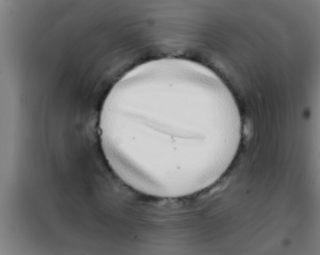 X0000100390867200807031947