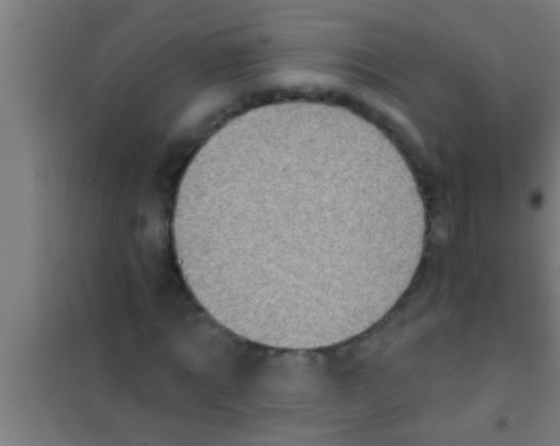 X0000100390869200807031947