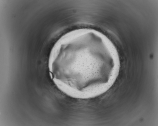 X0000100390870200807031947