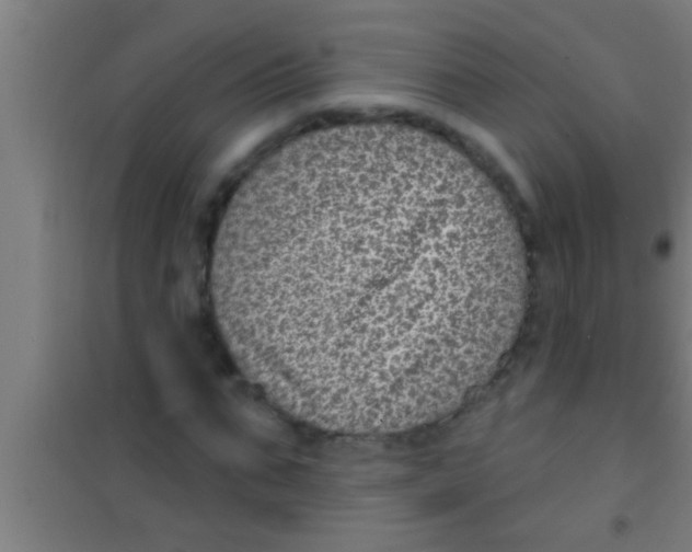 X0000100390871200807031947