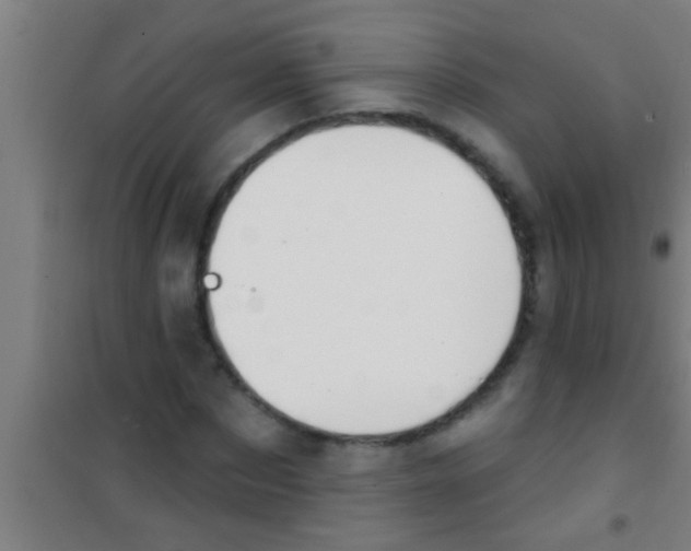 X0000100390873200807031947