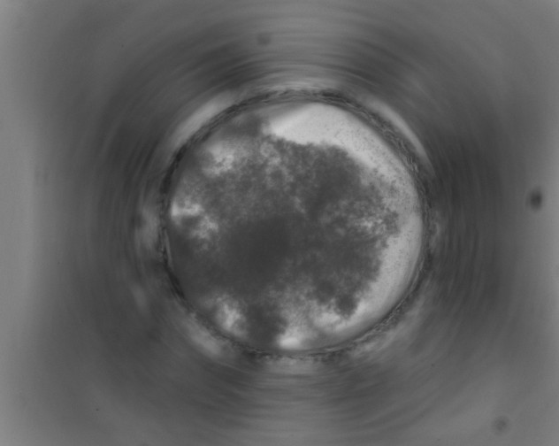 X0000100390874200807031947