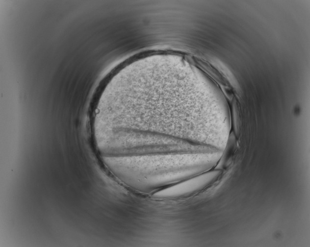 X0000100390876200807031947