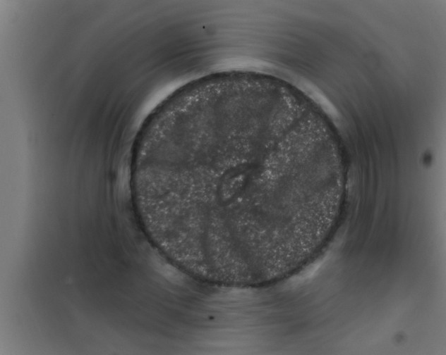 X0000100390877200807031947