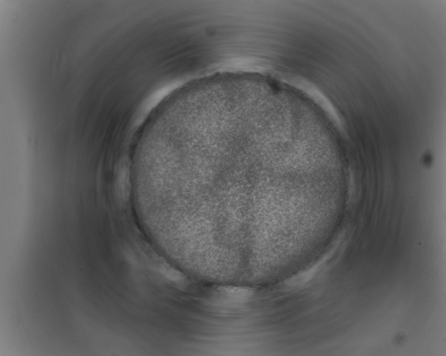 X0000100390878200807031947