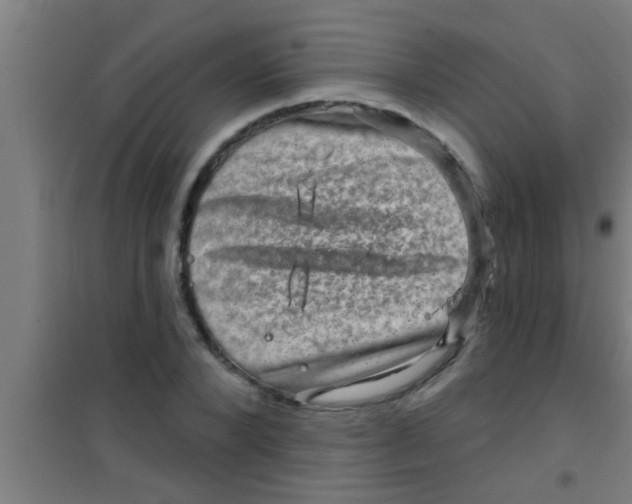 X0000100390880200807031947