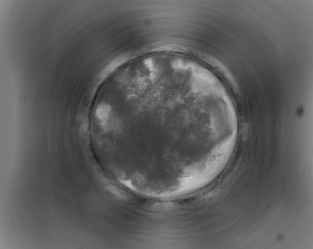 X0000100390882200807031947