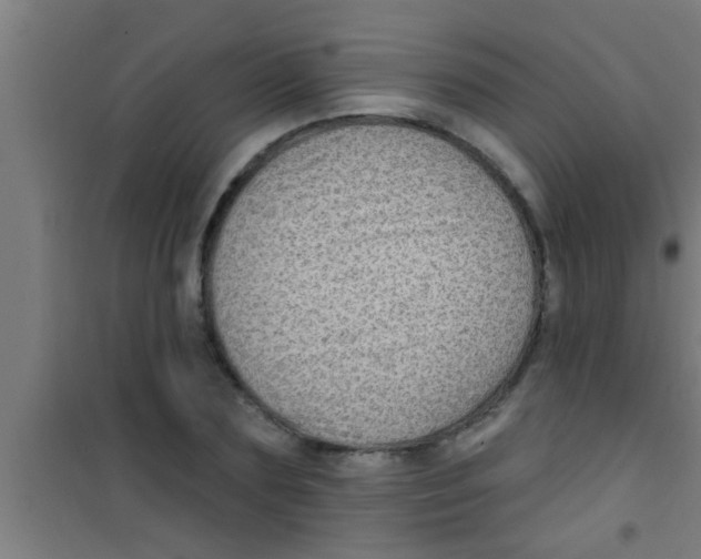 X0000100390883200807031947