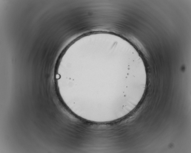 X0000100390884200807031947