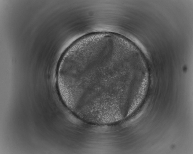 X0000100390885200807031947