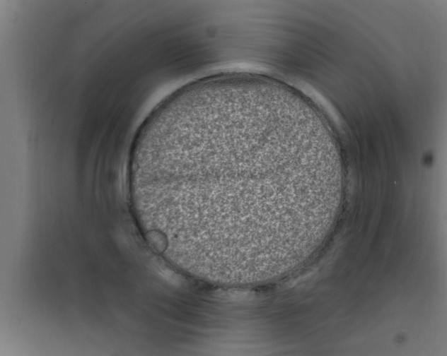 X0000100390886200807031947