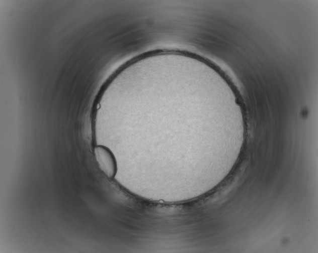 X0000100390887200807031947