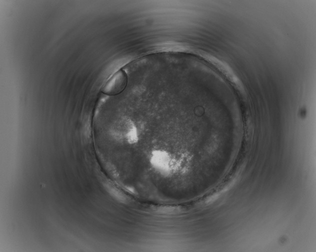 X0000100390889200807031947