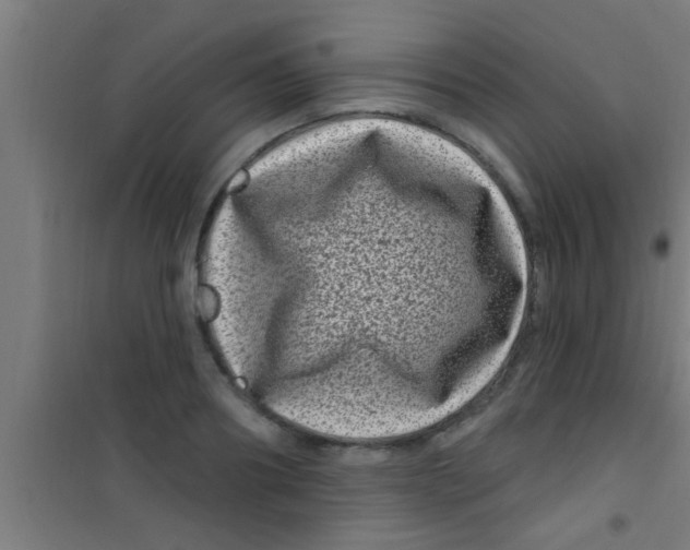 X0000100390890200807031947