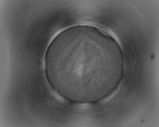 X0000100390891200807031947