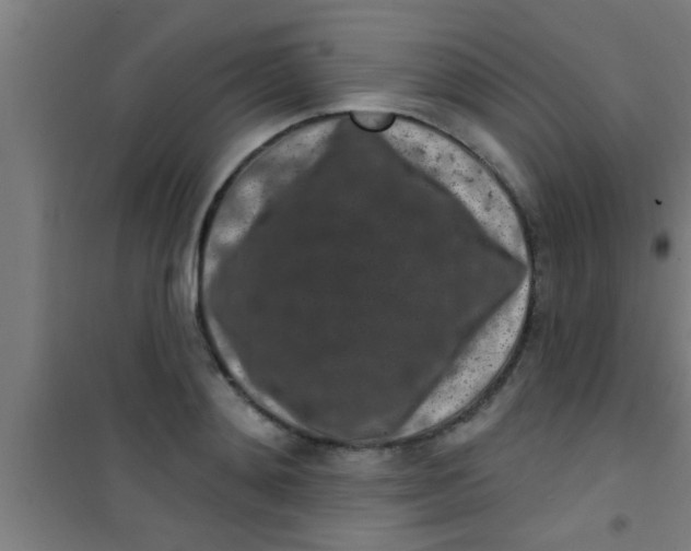 X0000100390892200807031947