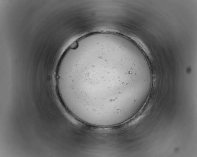 X0000100390893200807031946