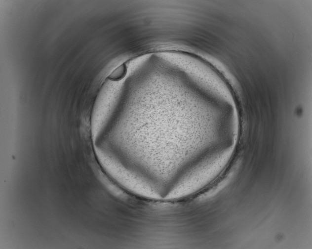 X0000100390897200807031946