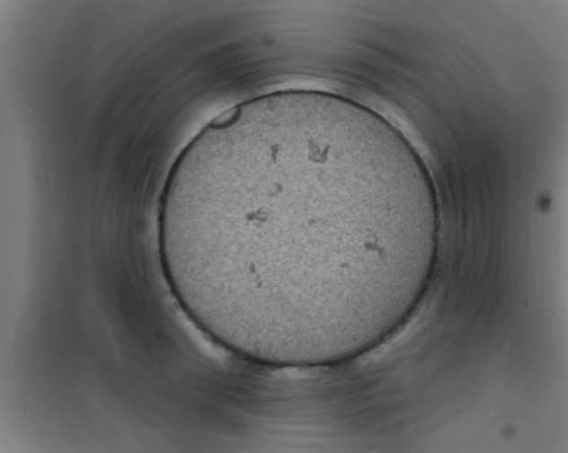 X0000100390898200807031946