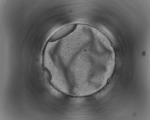 X0000100390900200807031946