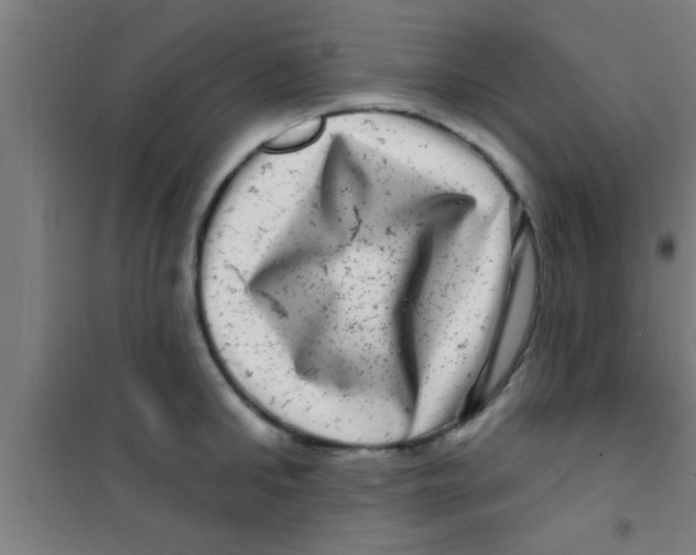 X0000100390902200807031946