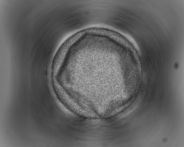 X0000100390903200807031946