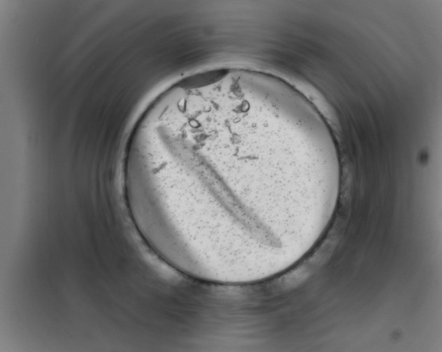 X0000100390904200807031946