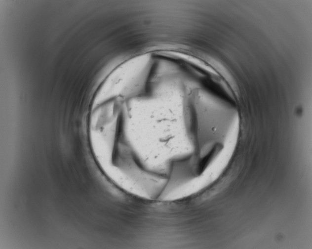 X0000100390906200807031946