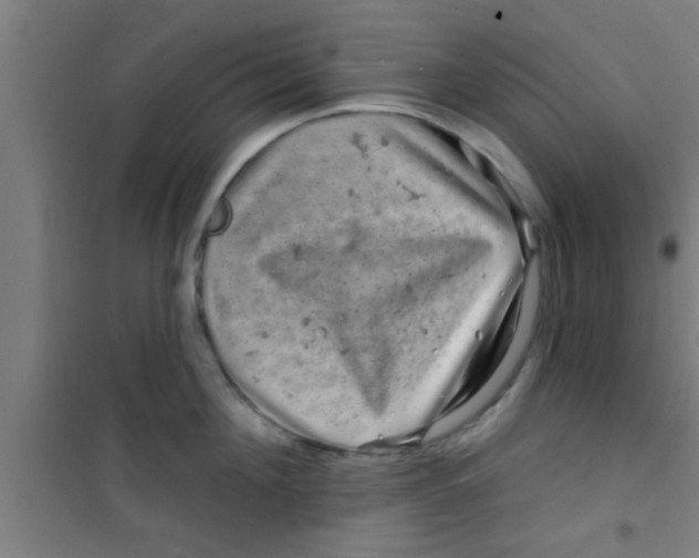 X0000100390908200807031946