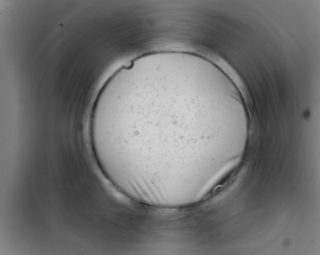 X0000100390909200807031946