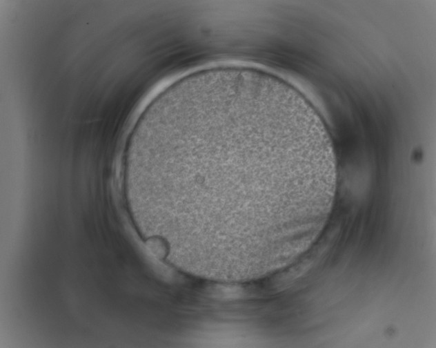 X0000100390911200807031946