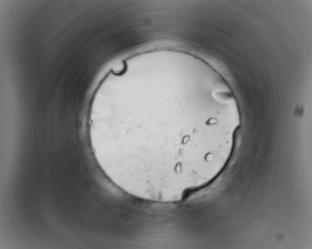 X0000100390912200807031946