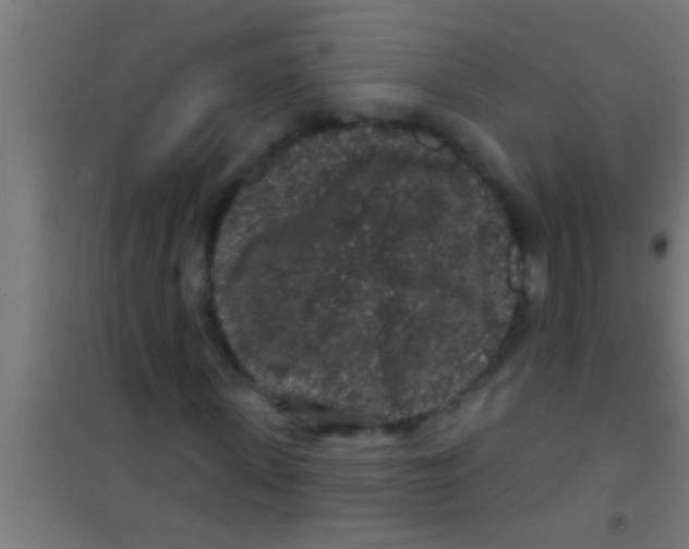 X0000100390915200807031946