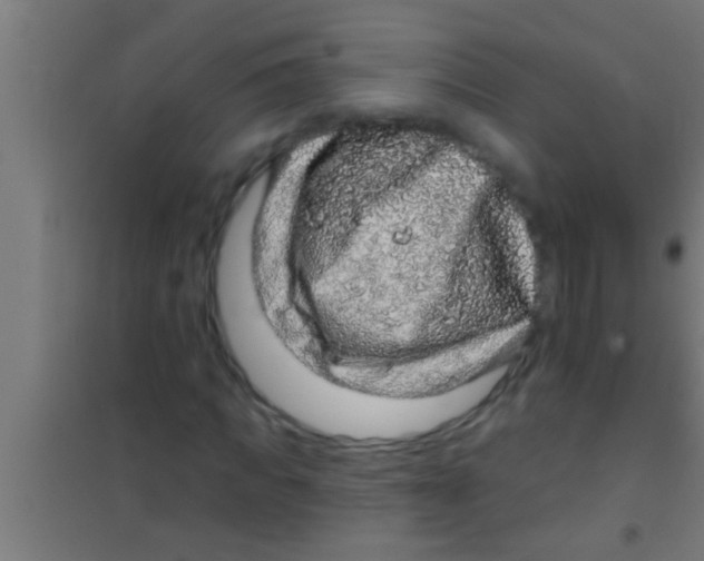 X0000100390917200807031946