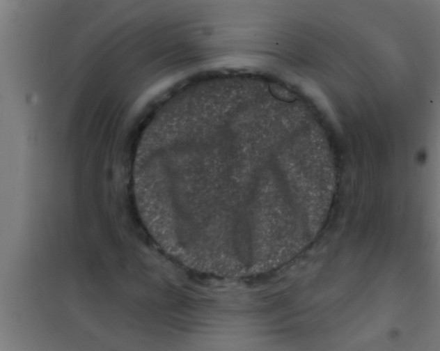 X0000100390920200807031946