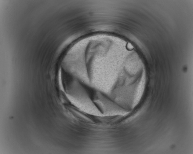 X0000100390922200807031946