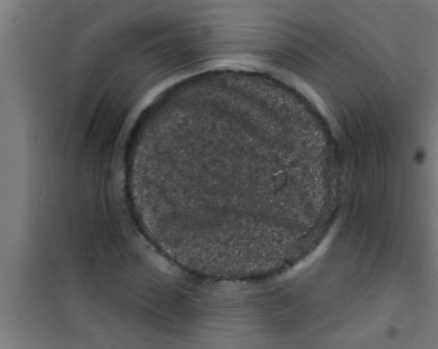 X0000100390923200807031946