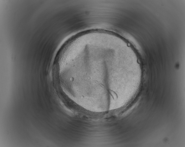 X0000100390924200807031946