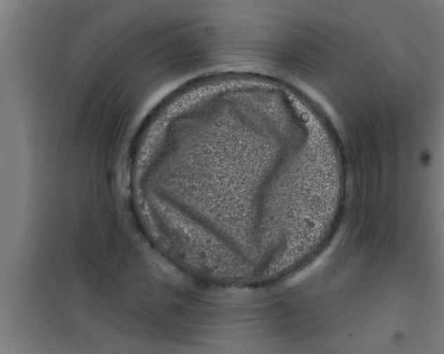 X0000100390925200807031946