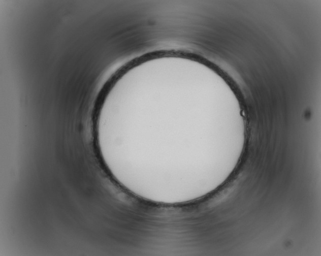 X0000100390927200807031946