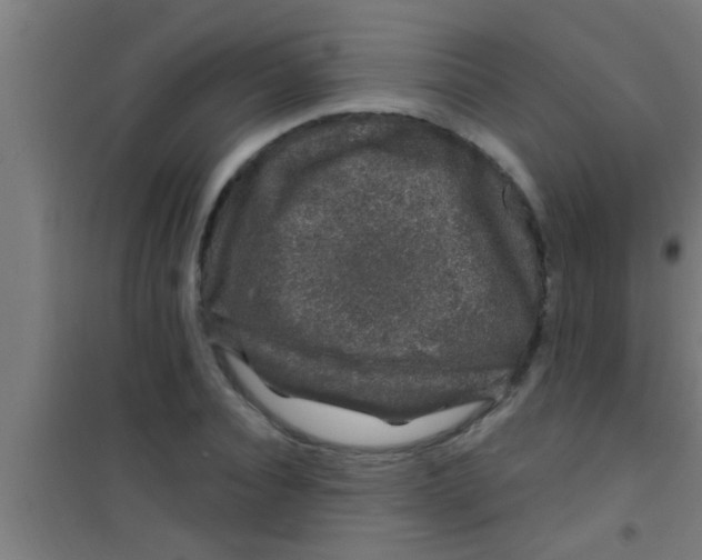 X0000100390928200807031946