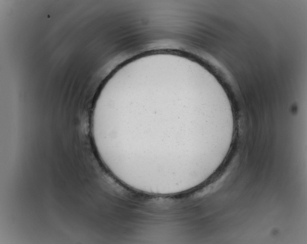 X0000100390929200807031946