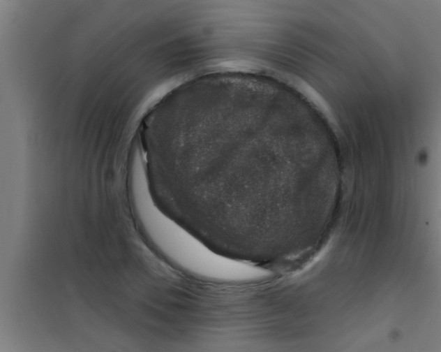 X0000100390930200807031946