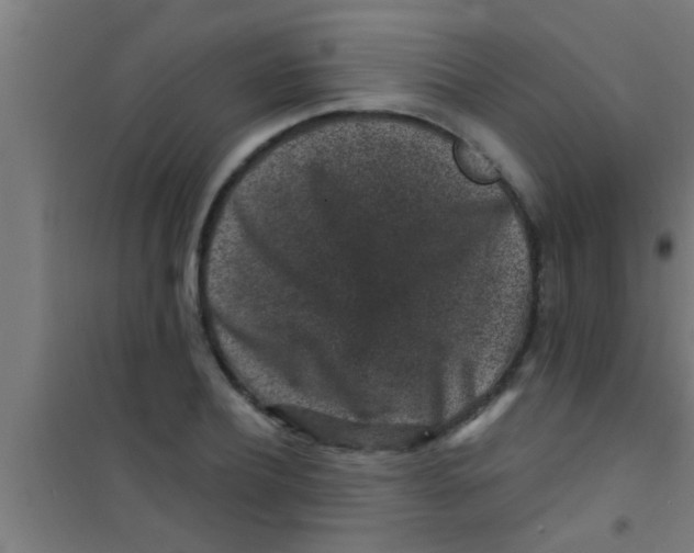 X0000100390932200807031946