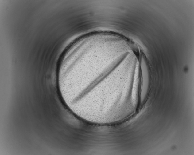 X0000100390934200807031946