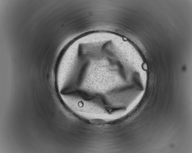 X0000100390936200807031946