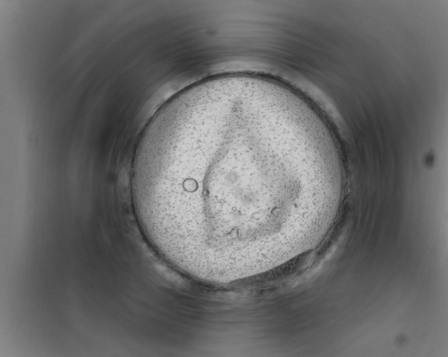 X0000100390937200807031946